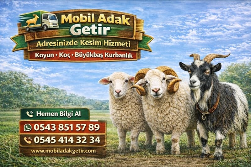Mobil Adak Getir - Adrese Teslim Kurban Kesim Hizmeti